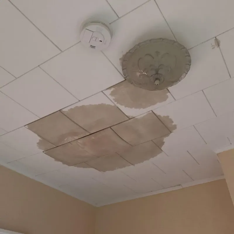 Ceiling Water Damage Repair in Jackson County, TN