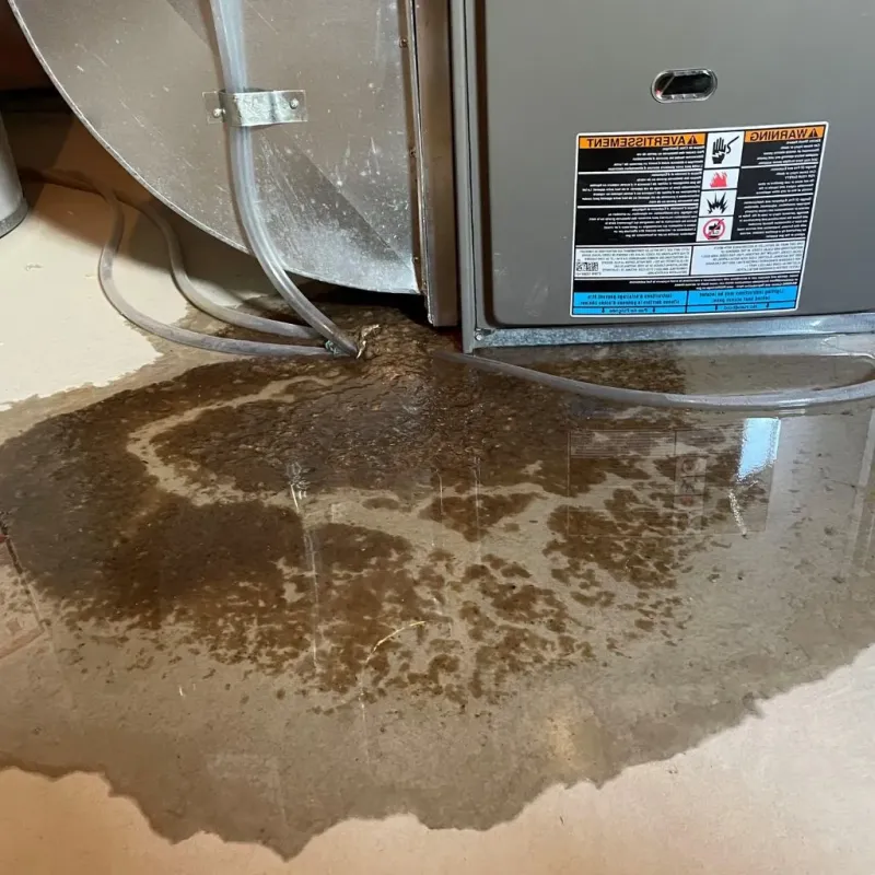Pipe Burst and Leak Restoration in Jackson County, TN