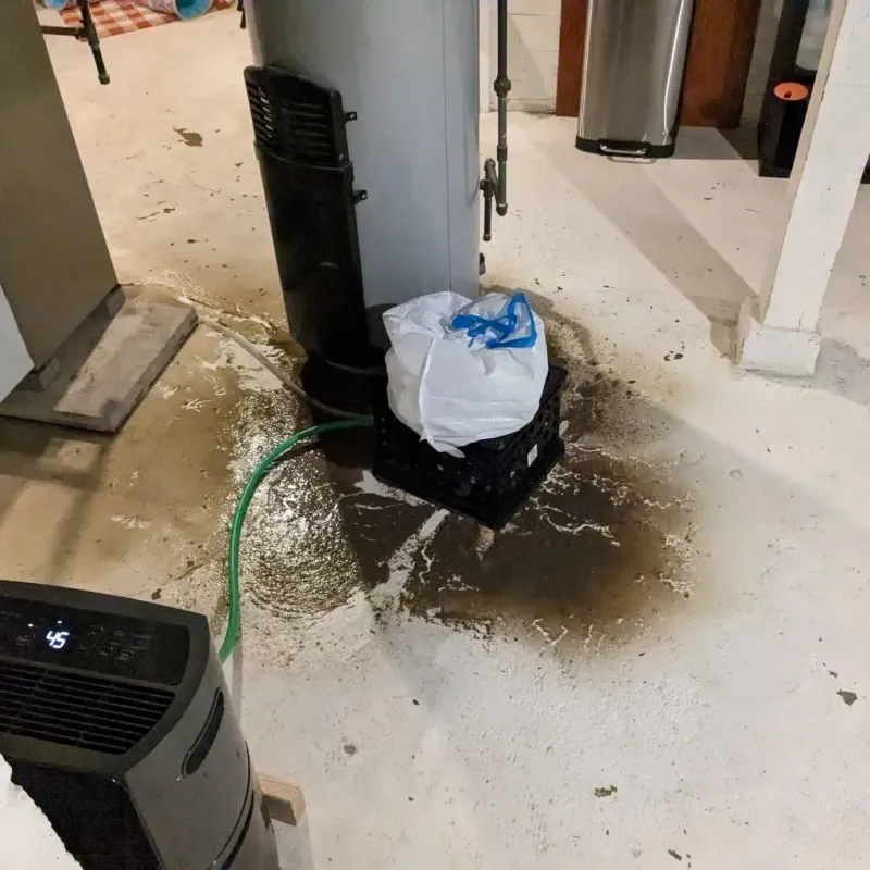 Sewage Backup Cleanup Service in Jackson County, TN